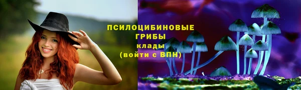 индика Абаза