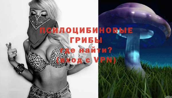спайс Абдулино