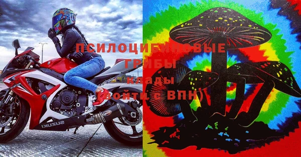 индика Абаза