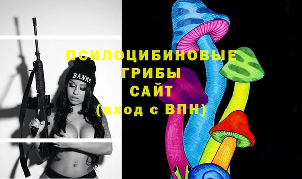 индика Абаза