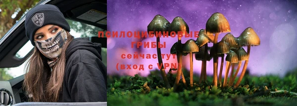 соль ск Приозерск