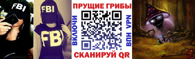 Псилоцибиновые грибы ЛСД магазин наркотиков Алдан